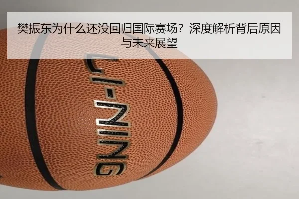 樊振东为什么还没回归国际赛场？深度解析背后原因与未来展望